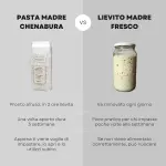 Comparazione con Lievito madre fresco
